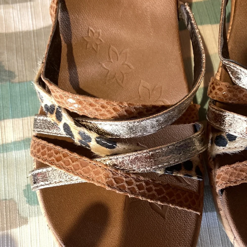 Sketchers - Picture 2 of 5